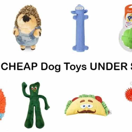 Amazon: 50 Dog Toys UNDER $5 on Amazon - Prices start at ONLY $1.69