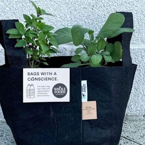FREE Planting Kit at Whole Foods - Today