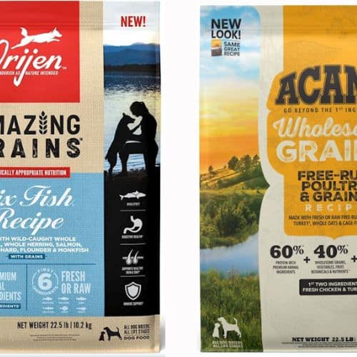 FREE Orijen & ACANA Single Protein Dog Food